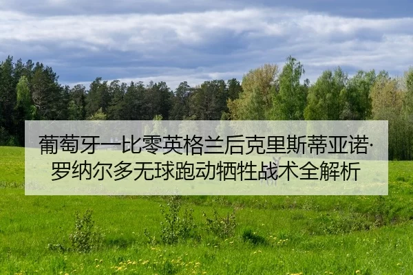 pu-tao-ya-yi-bi-ling-ying-ge-lan-hou-ke-li-si-di-ya-nuo-luo-na-er-duo-wu-qiu-pao-dong-xi-sheng-zhan-shu-quan-jie-xi-2-502.jpg